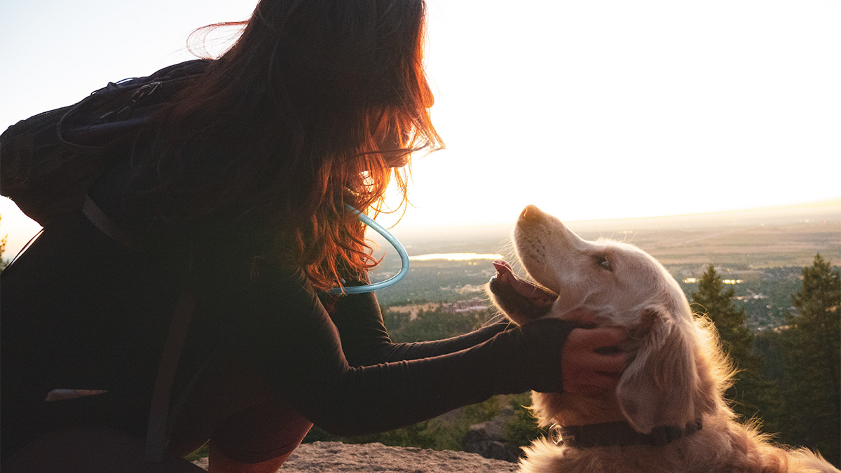 girl and dog, microchip month, Pikes Peak Vet