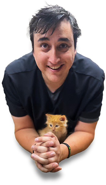 cta-cutout-1 A team member with a kitten at Pikes Peak Veterinary Clinic, Colorado Springs.