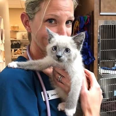 slider-2 A staff member with a kitten at Pikes Peak Veterinary Clinic, Colorado Springs.