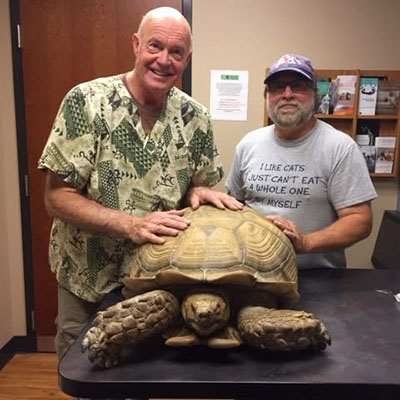 slider-5 A vet with a tortoise at Pikes Peak Veterinary Clinic, Colorado Springs.