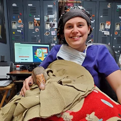 slider-6 A technician with a goose Pikes Peak Veterinary Clinic, Colorado Springs.